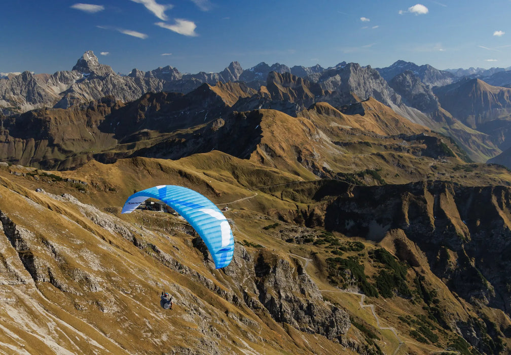 Moxie (Glider)