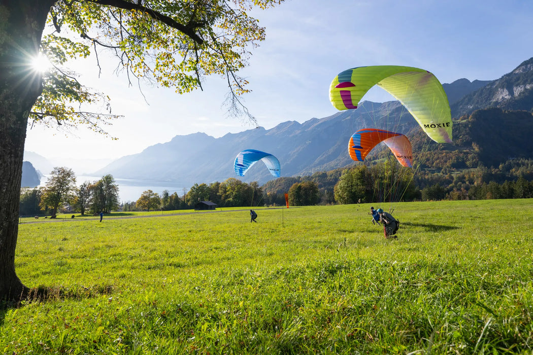 Moxie (Glider)