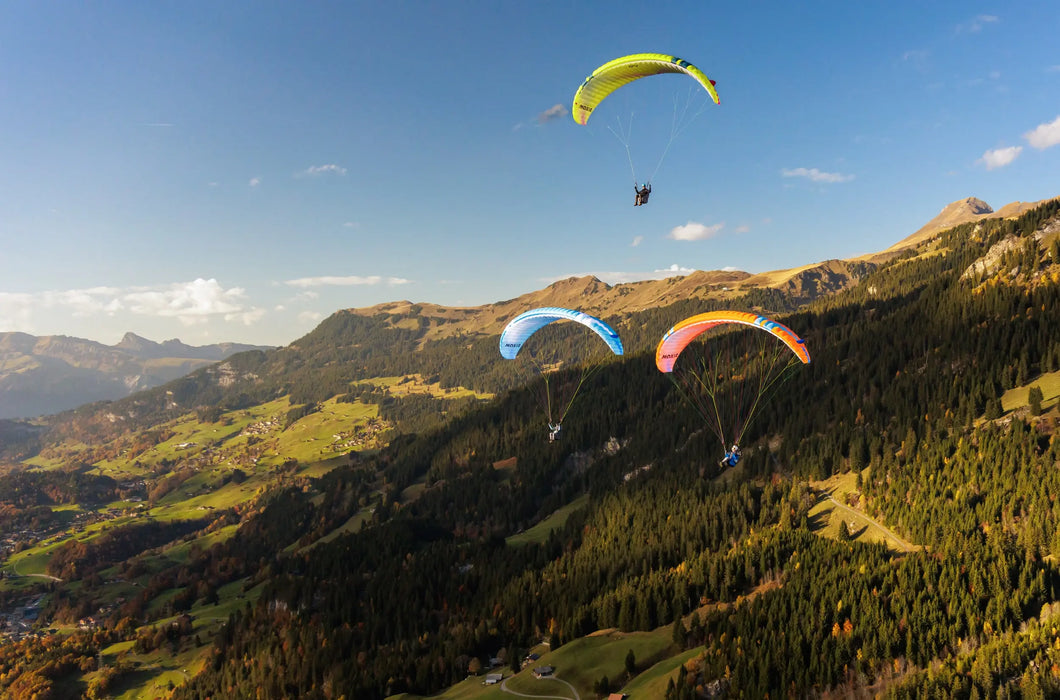 Moxie (Glider)