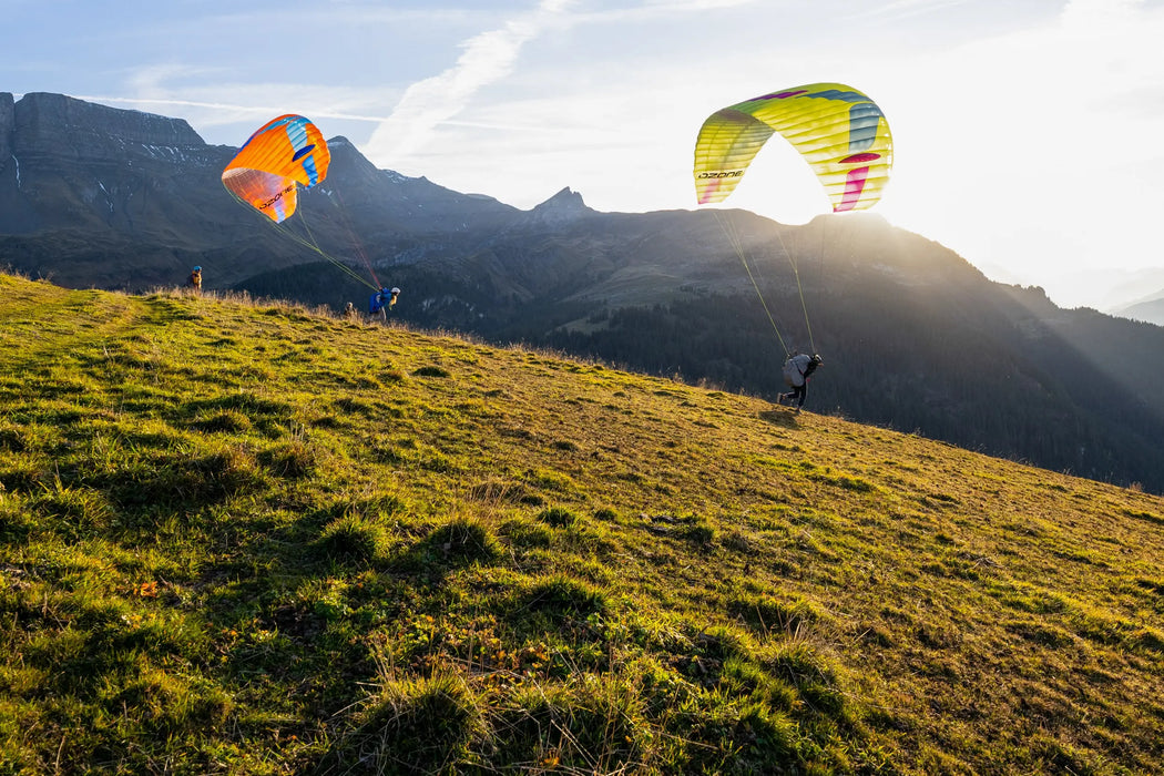 Moxie (Glider)
