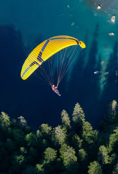 Swift 6 (Glider)