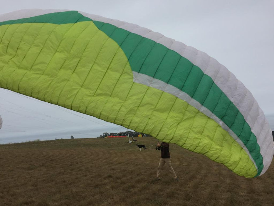 Ozone Viper 3 22 (used) - Fly Above All
