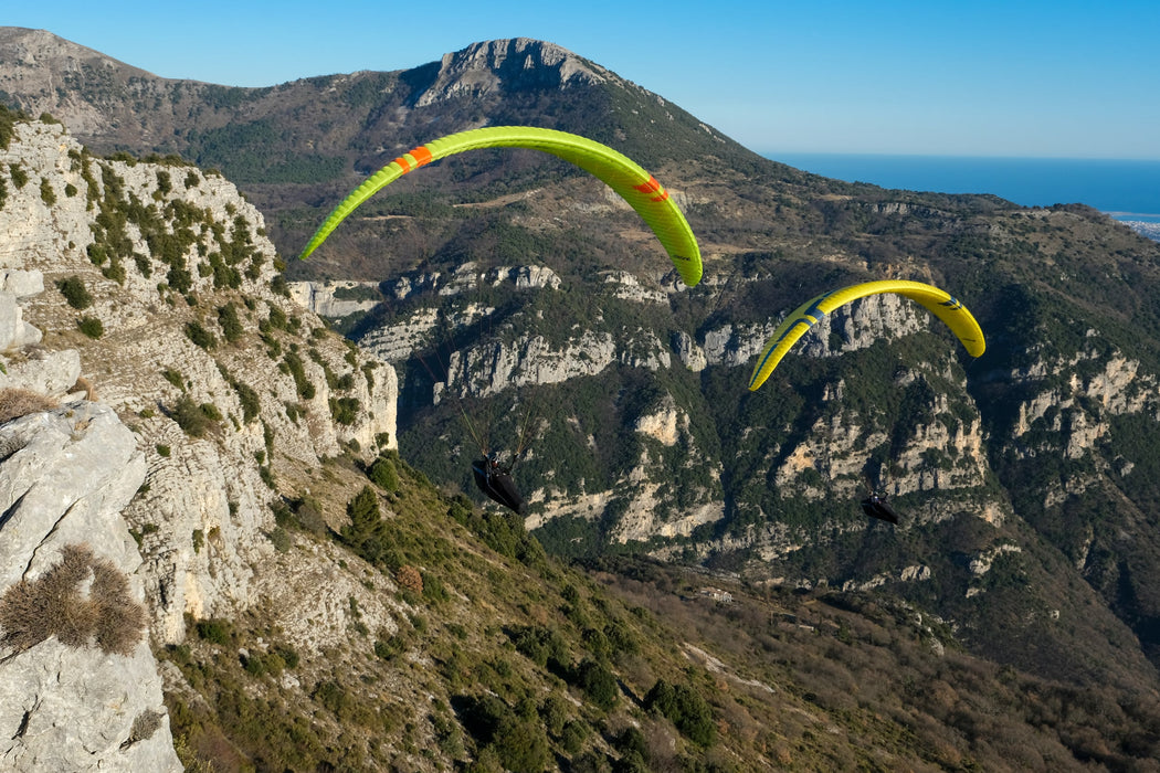 Zeno 2 - Fly Above All