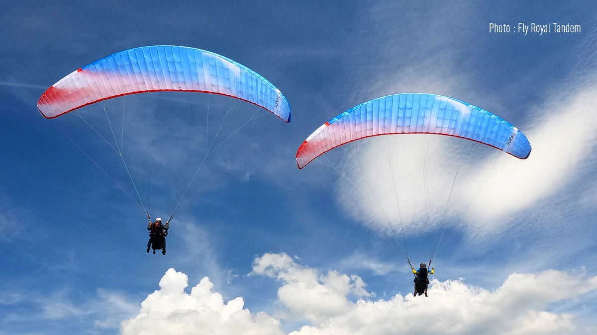Sora 2 Plus - Fly Above All